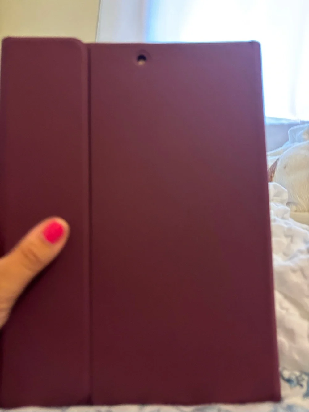 iPad Air 3